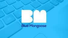 Blue mongoose card